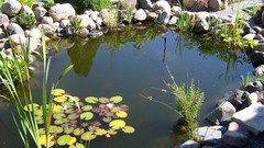 Landscapes nature ponds