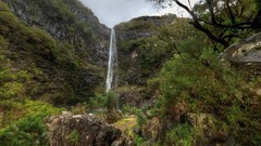 Landscapes nature Portugal forests