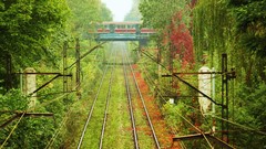 Landscapes nature railroad tracks