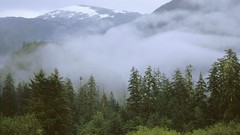 Landscapes nature rain Canada British Columbia forests