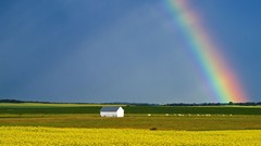 Landscapes nature rainbows