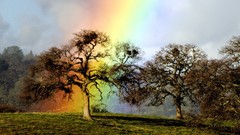 Landscapes nature rainbows