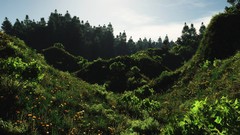 Landscapes nature realistic sp34k