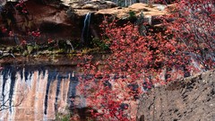 Landscapes nature red cliffs wildlife reality