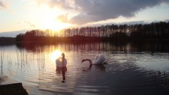 Landscapes nature reflections