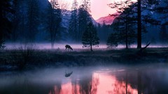 Landscapes nature reflections forests