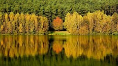 Landscapes nature reflections forests