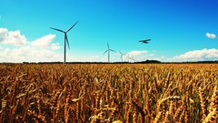 Landscapes nature renewable energy