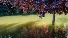 Landscapes nature reservoir circles shadows