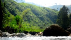 Landscapes nature Rio