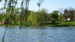 Landscapes nature rivers