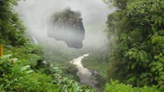 Landscapes nature rivers