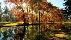 Landscapes nature rivers