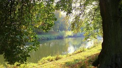 Landscapes nature rivers