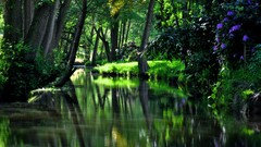 Landscapes nature rivers