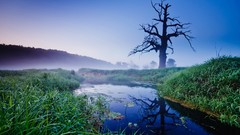 Landscapes nature rivers