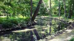 Landscapes nature rivers