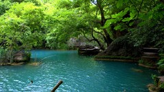 Landscapes nature rivers