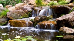 Landscapes nature rivers