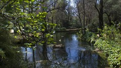 Landscapes nature rivers