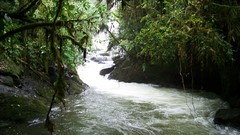 Landscapes nature rivers forests