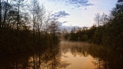 Landscapes nature rivers forests