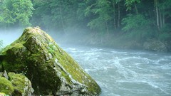 Landscapes nature rivers forests