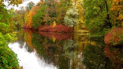 Landscapes nature rivers forests