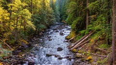 Landscapes nature rivers forests