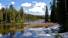 Landscapes nature rivers forests