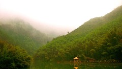 Landscapes nature rivers forests