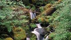 Landscapes nature rivers HDR Photography