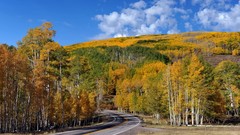 Landscapes nature roads