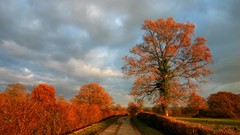 Landscapes nature roads