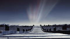 Landscapes nature roads