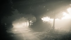 Landscapes nature roads