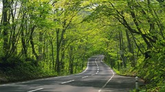 Landscapes nature roads