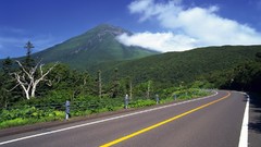 Landscapes nature roads