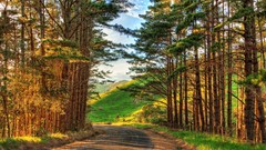 Landscapes nature roads