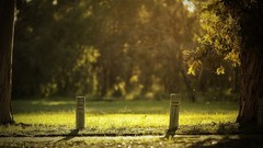 Landscapes nature roads