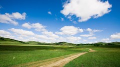 Landscapes nature roads