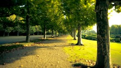 Landscapes nature roads