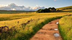 Landscapes nature roads fields