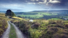 Landscapes nature roads paths green field