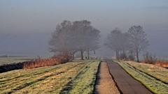 Landscapes nature roads pole