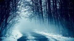 Landscapes nature roads snow landscapes