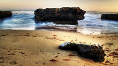Landscapes nature rocks Beaches shore