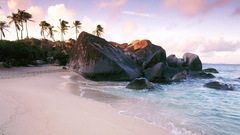 Landscapes nature rocks palm