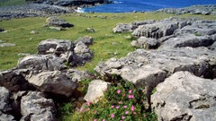 Landscapes nature rocks sea shorelines