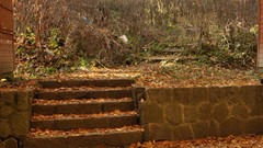 Landscapes nature romania